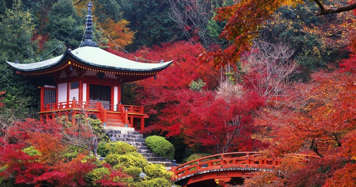 Por que você deve fazer uma viagem ao Japão uma vez em sua vida